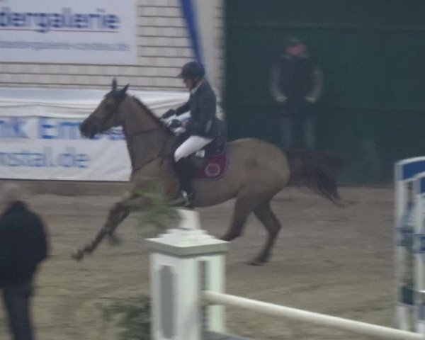 Reitturnier Lathen 2018