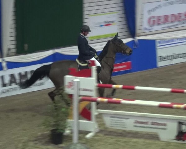 Reitturnier Lathen 2018