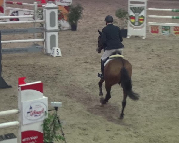 Reitturnier Lathen 2018
