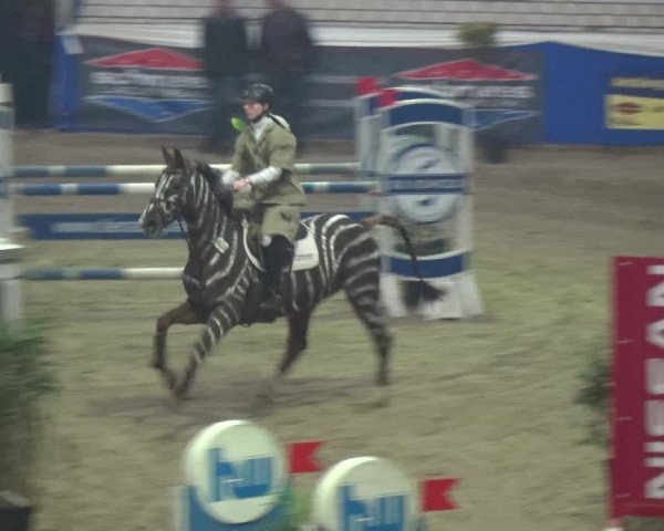 Reitturnier Lathen 2018