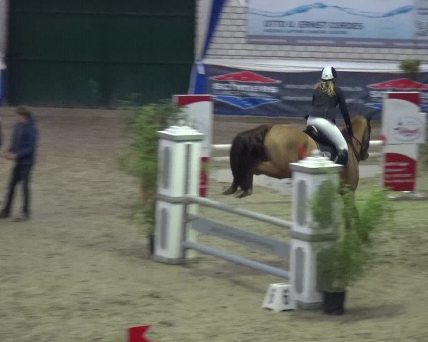 Reitturnier Lathen 2018