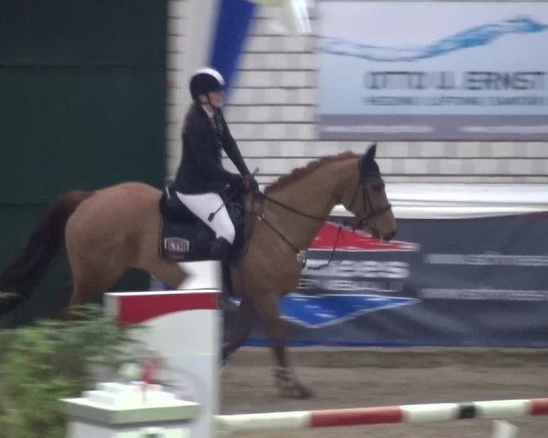 Reitturnier Lathen 2018