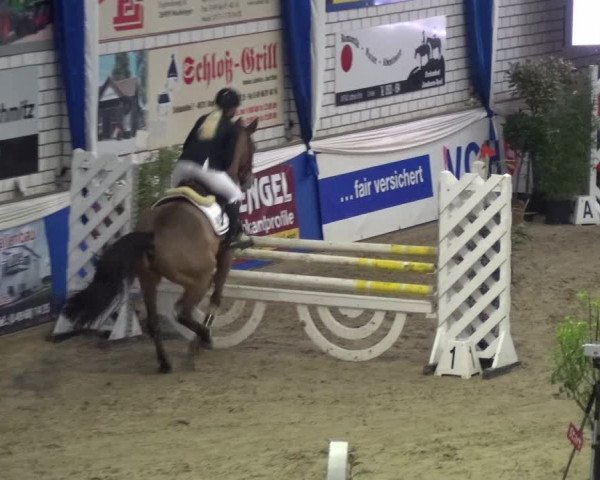 Reitturnier Lathen 2018