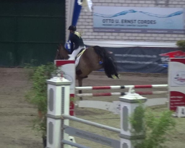Reitturnier Lathen 2018