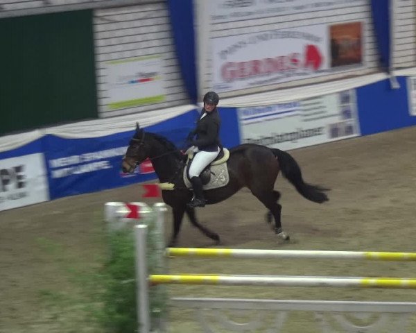 Reitturnier Lathen 2018