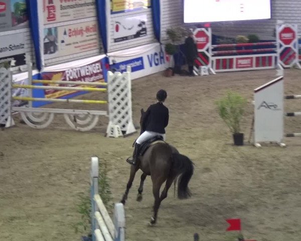 Reitturnier Lathen 2018