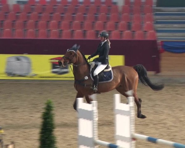 Reitturnier Neustadt/Dosse 2018