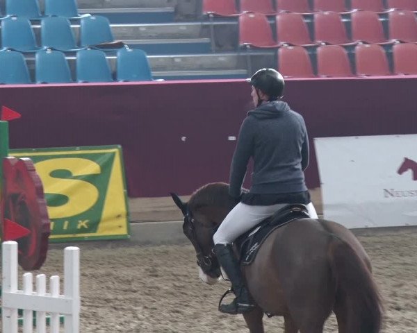 Reitturnier Neustadt/Dosse 2018