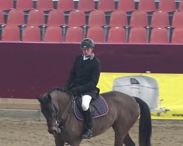 Reitturnier Neustadt/Dosse 2018
