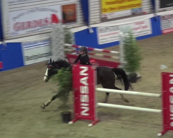 Reitturnier Lathen 2018