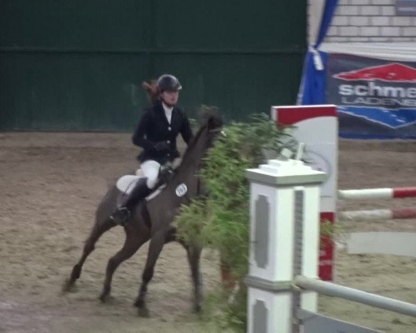 Reitturnier Lathen 2018