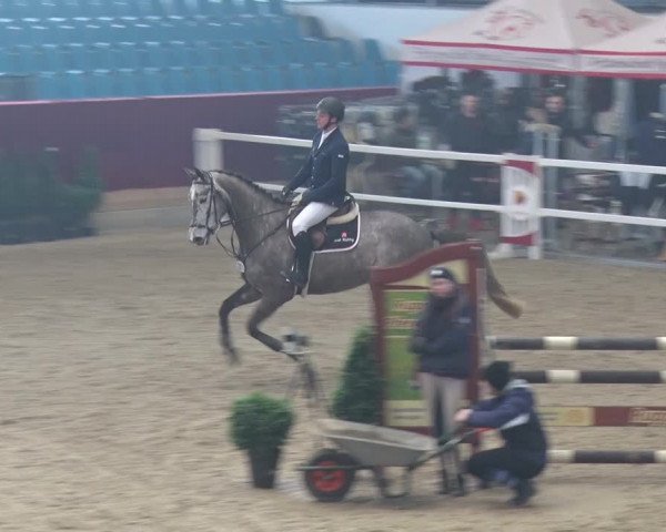 Reitturnier Neustadt/Dosse 2018