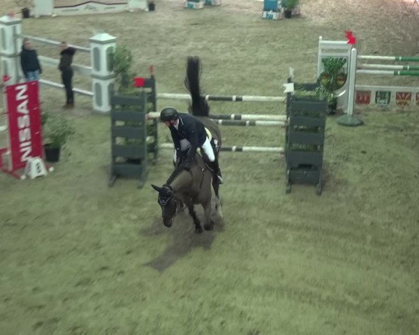 Reitturnier Lathen 2018