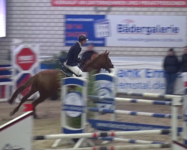 Reitturnier Lathen 2018