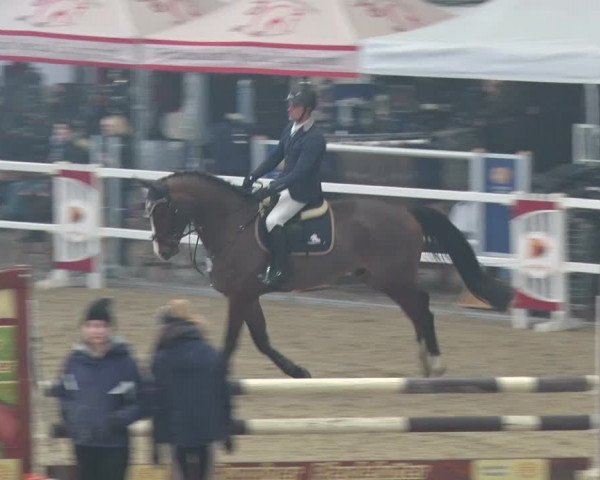 Reitturnier Neustadt/Dosse 2018