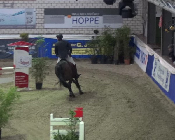 Reitturnier Lathen 2018