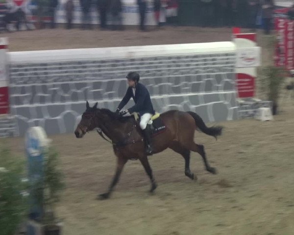Reitturnier Lathen 2018