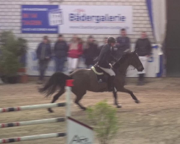 Reitturnier Lathen 2018