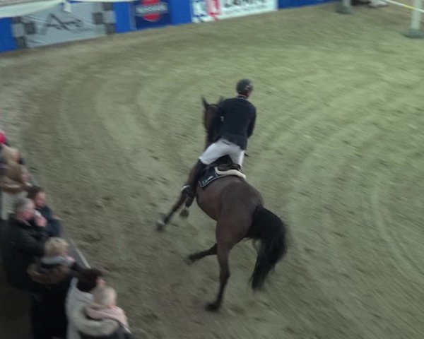 Reitturnier Lathen 2018
