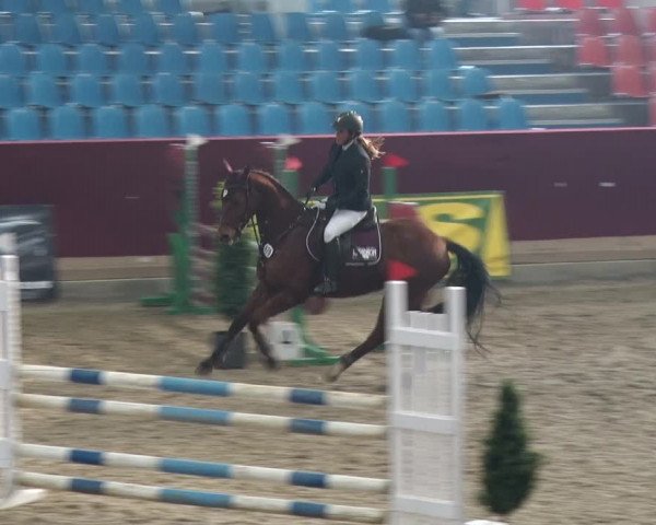Reitturnier Neustadt/Dosse 2018
