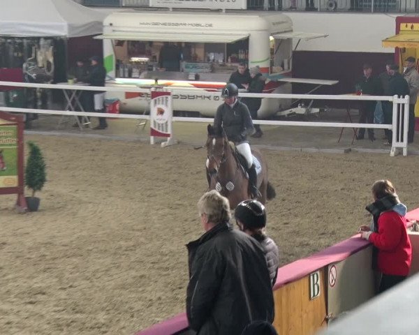Reitturnier Neustadt/Dosse 2018