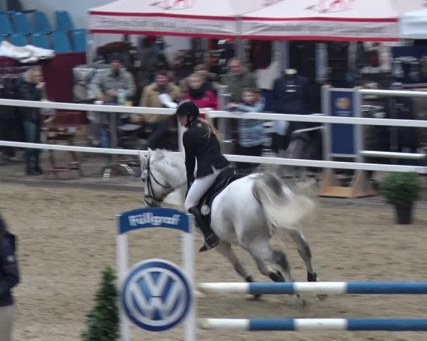 Reitturnier Neustadt/Dosse 2018