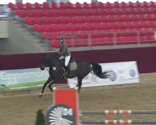 Reitturnier Neustadt/Dosse 2018