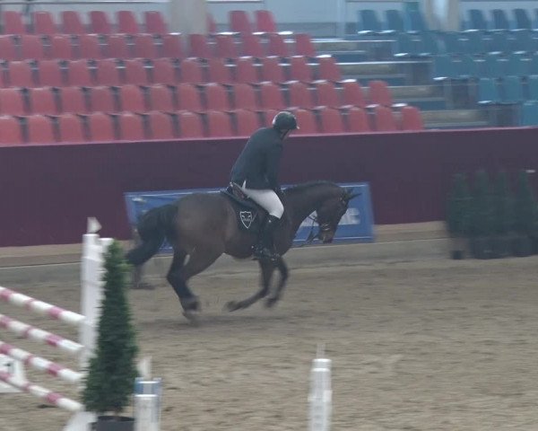 Reitturnier Neustadt/Dosse 2018