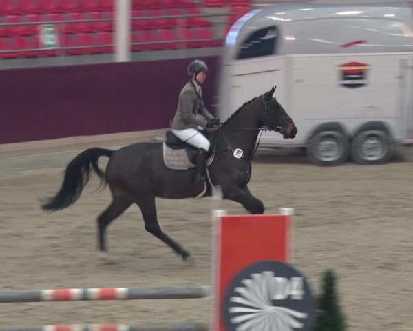 Reitturnier Neustadt/Dosse 2018
