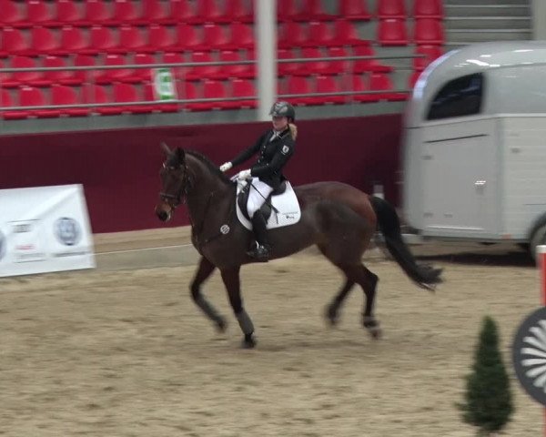 Reitturnier Neustadt/Dosse 2018