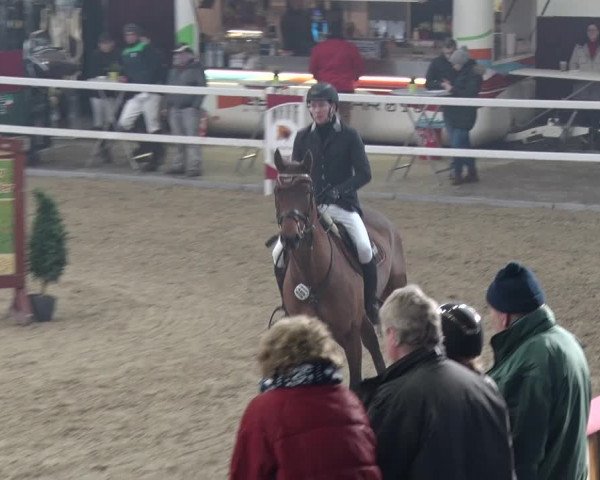 Reitturnier Neustadt/Dosse 2018