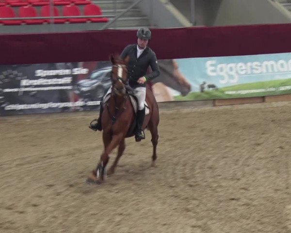 Reitturnier Neustadt/Dosse 2018