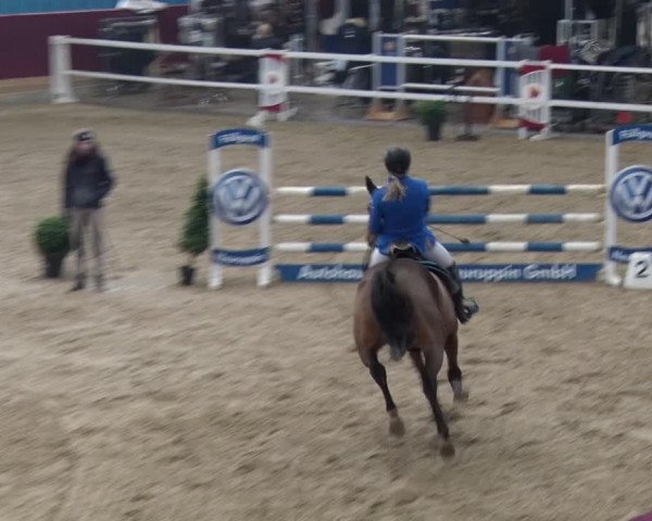 Reitturnier Neustadt/Dosse 2018