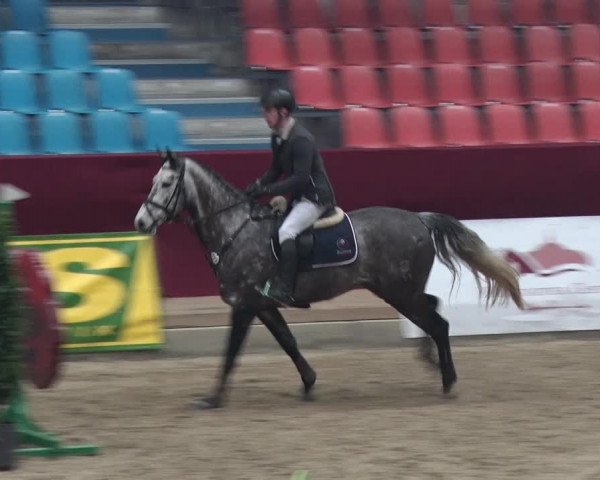 Reitturnier Neustadt/Dosse 2018