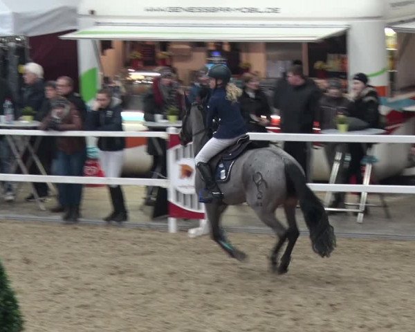 Reitturnier Neustadt/Dosse 2018