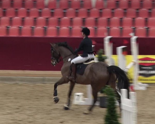 Reitturnier Neustadt/Dosse 2018