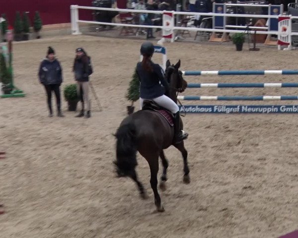 Reitturnier Neustadt/Dosse 2018