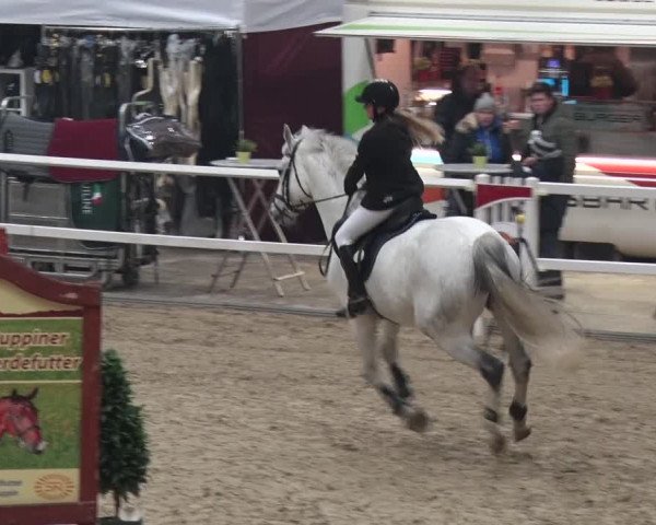Reitturnier Neustadt/Dosse 2018