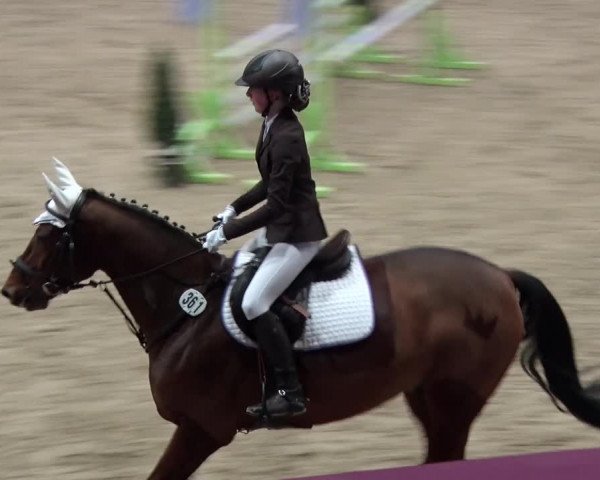 Reitturnier Neustadt/Dosse 2018