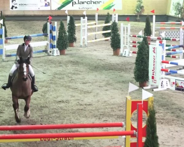 Reitturnier Bülach 2018