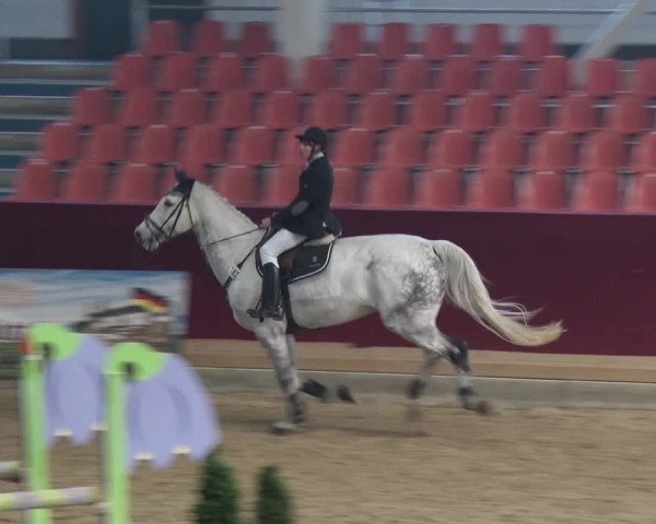 Reitturnier Neustadt/Dosse 2018