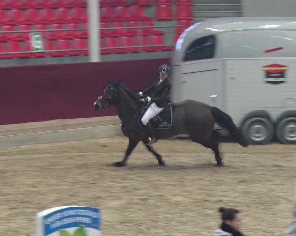Reitturnier Neustadt/Dosse 2018