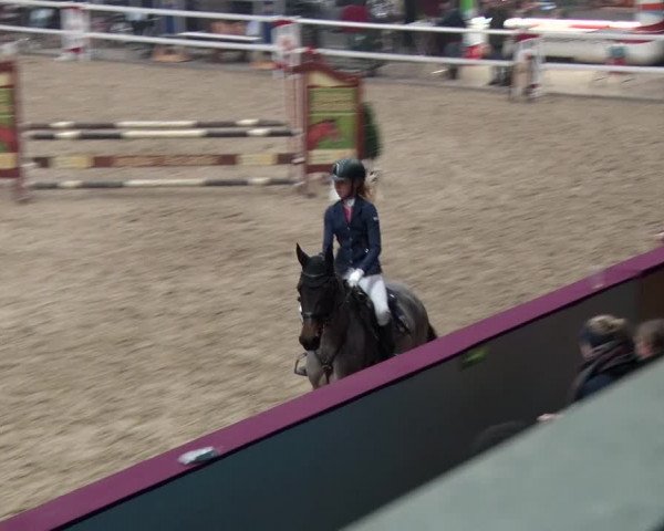 Reitturnier Neustadt/Dosse 2018