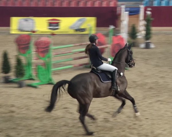 Reitturnier Neustadt/Dosse 2018