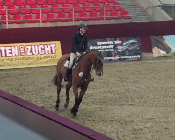 Reitturnier Neustadt/Dosse 2018