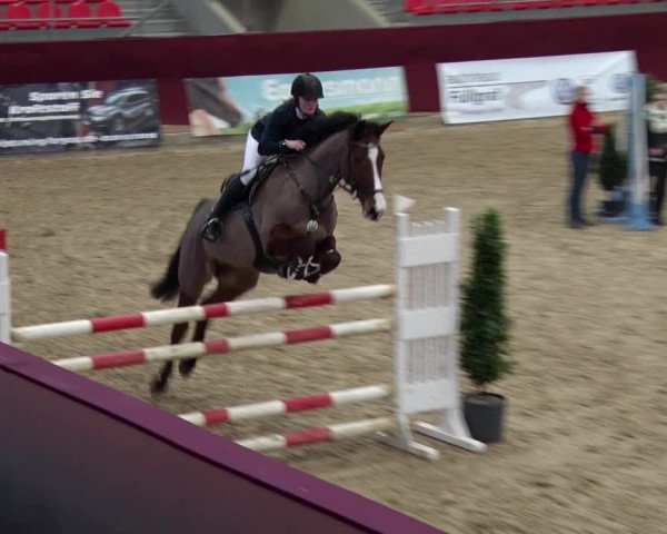 Reitturnier Neustadt/Dosse 2018