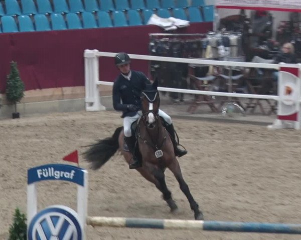 Reitturnier Neustadt/Dosse 2018