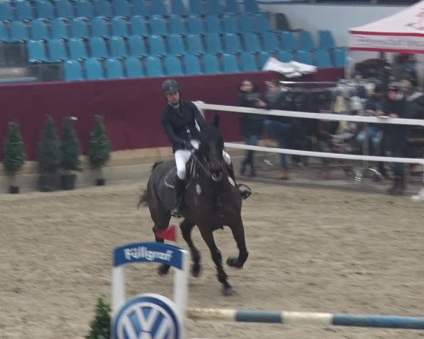 Reitturnier Neustadt/Dosse 2018