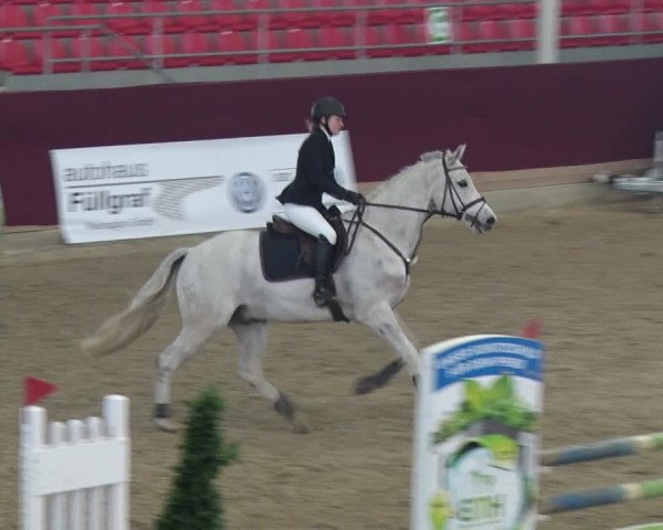 Reitturnier Neustadt/Dosse 2018