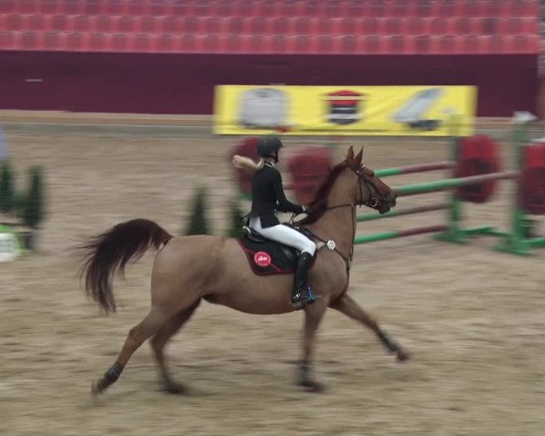 Reitturnier Neustadt/Dosse 2018